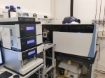 nLC-MS/MS (ProteinLC-MS/MS (Massenspektrometer, Thermo Orbitrap Fusion) für die massenspektrometrische Analyse von Proteinen